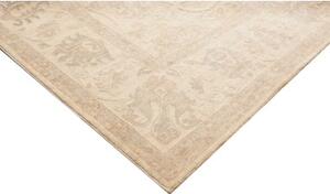 Tappeto Zigler Fine Floreale Avorio Beige 304x424 Cm