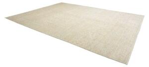 Tappeto Zigler Extra Fine Stilizzato Verde Salvia Avorio 300x408 Cm
