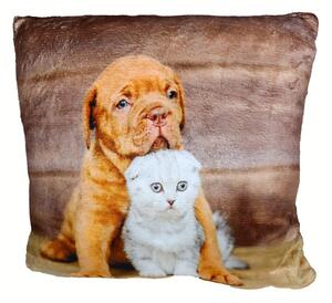 Guanciale Coibentato Piccolo cane e gattino 40x40 cm