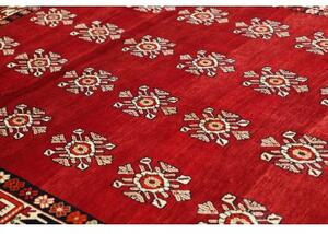 Tappeto Shiraz Stilizzato Rosso Avorio 208x300 Cm