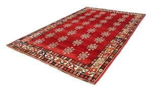 Tappeto Shiraz Stilizzato Rosso Avorio 208x300 Cm
