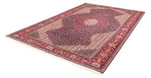 Tappeto Sarough Medaglione Floreale Blu Scuro Rosso Mattone 212x308 Cm