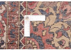Tappeto Bakhtiyar Stilizzato Rosso Blu 168x322 Cm