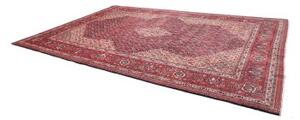 Tappeto Sarough Medaglione Floreale Rosso Avorio 280x406 Cm