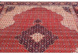 Tappeto Sarough Stilizzato Rosso Blu Scuro 214x313 Cm
