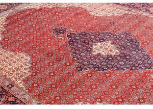 Tappeto Sarough Stilizzato Rosso Blu Scuro 214x313 Cm