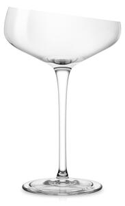 Eva Solo Calice da Vino Champagne Coupe 20cl Vetro Soffiato a Bocca Bordo Angolato