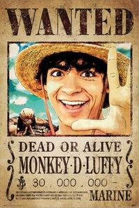 Posters, Stampe One Piece - Wanted Monkey D Luffy, (61 x 91.5 cm)