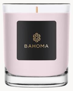 Candela in confezione regalo (Alchemy Velvet Peony & Cashmere)