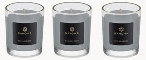 Set di 3 candele da viaggio Ash Sicilian Lemon