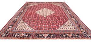 Tappeto Sarough Stilizzato Rosso Avorio 300x400 Cm
