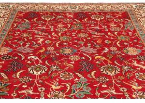 Tappeto Tabriz Figurativo Rosso Avorio 227x343 Cm