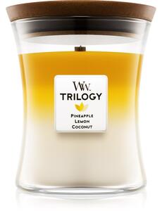 Woodwick Trilogy Fruits of Summer candela profumata con stoppino in legno 275 g