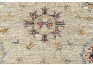Tappeto Zigler Fine Floreale Beige Multicolore 396x491 Cm