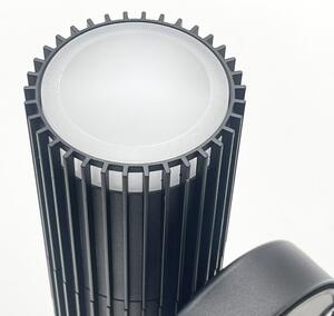Faretto da parete per esterni LANTHEA 2xGU10/11W/230V IP44 nero