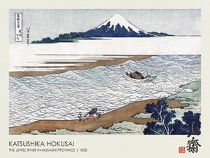 Riproduzione The Jewel River in Musashi Province 1830, Katsushika Hokusai