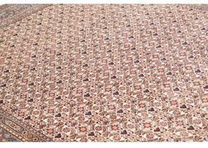 Tappeto Moud Stilizzato Avorio Azzurro 218x312 Cm