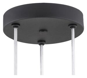 Argon 6103 - Lampadario su filo HOLLYWOOD 3xE14/7W/230V nero