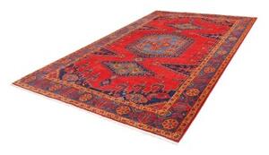 Tappeto Wiss Stilizzato Rosso Blu 216x323 Cm