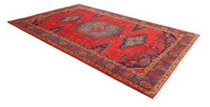 Tappeto Wiss Stilizzato Rosso Blu 216x323 Cm