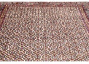 Tappeto Moud Stilizzato Avorio Blu Cielo 215x293 Cm