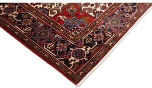 Tappeto Gorawan Stilizzato Rosso Avorio 247x340 Cm