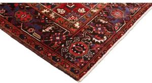 Tappeto Gorawan Stilizzato Rosso Avorio 205x310 Cm
