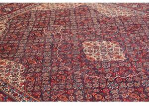 Tappeto Sarough Stilizzato Rosso Scuro Avorio 247x340 Cm