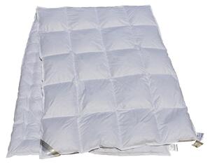 Piumino quattro stagioni Combi, 155x200 cm, 100% piuma
