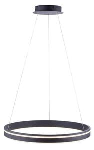 Paul Neuhaus 8411-13 Paul Neuhaus Q-VITO Smart Home Deckenleuchte anthrazit 28 W