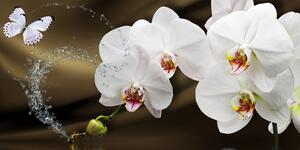Quadri orchidea e farfalla - 100x50