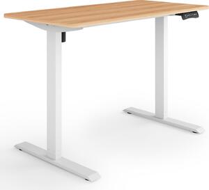 ESMART ETX-121WM 120x60cm Acero Scrivania ergonomica regolabile in altezza elettricamente in modo continuo 73,5-123,5 cm 3x memoria Promemoria attività Soft-Start/Stop Montaggio rapido