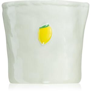 Paddywax Bistro Meyer Lemon candela profumata 226 g