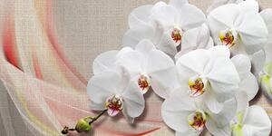 Quadri di un'orchidea bianca su tela