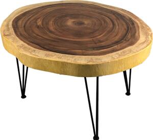 Tavolino da caffè albero disco Gambe a forcina tavolino da caffè albero bordo tavolo soggiorno legno
