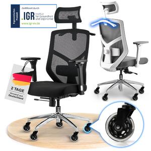 ELITESEATS Sedia da ufficio ergonomica [rotelle antigraffio, traspirante] Sedia da scrivania ergonomica | sedia da ufficio con portata di 150 kg | sedia da computer