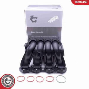 ESEN SKV 49SKV046 Collettore di aspirazione compatibile con PEUGEOT 207 (WA, WC), 206 berlina (2A/C), 206 CC (2D), 308 SW II, 307 CC (3B) e 307 (3A/C)