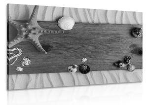 Quadri tesori del mare in legno in bianco e nero - 60x40