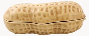 Scatola portaoggetti decorativa in gres Nuts