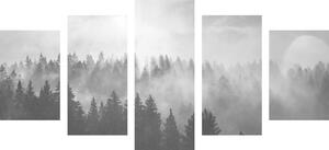 Quadri in 5 parti nebbia sulla foresta in bianco e nero - 100x50