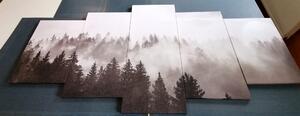Quadri in 5 parti nebbia sulla foresta in bianco e nero - 100x50
