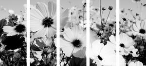 Quadri in 5 parti fiori primaverili in bianco e nero