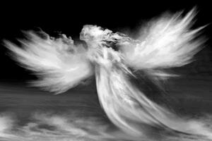 Quadri di un angelo sulle nuvole in bianco e nero