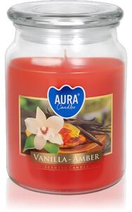 BISPOL Vanilla & Amber candela profumata 500 ml