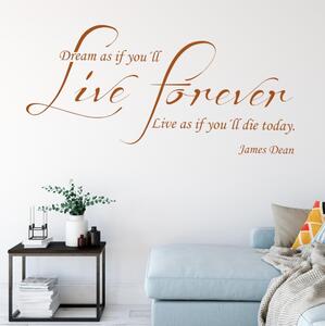 Autoadesivo murale con la frase - James Dean