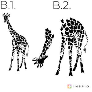 Adesivi murali - Giraffa