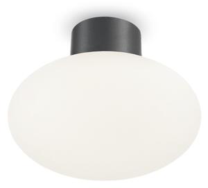 Plafoniera Moderna Clio Alluminio Antracite 1 Luce E27