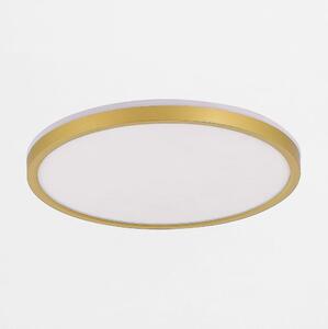 Zuma Line MS748500R-3-GD - Luce LED dimmerabile BOVE 49W/230V 3000/4000/5500K oro