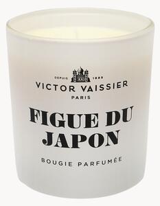 Candela profumata Figue Du Japon (fico nero & vetiver)