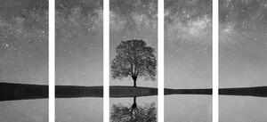 Quadri in 5 parti cielo stellato su albero solitario in bianco e nero